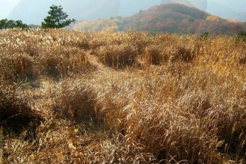 Mindungsan Mountain - Gangwon  (2/5)