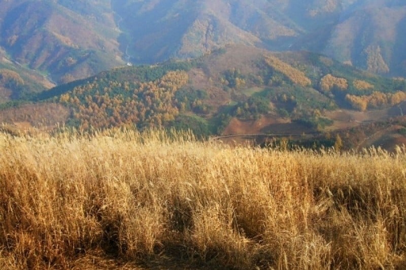 Mindungsan Mountain - Gangwon  (4/5)