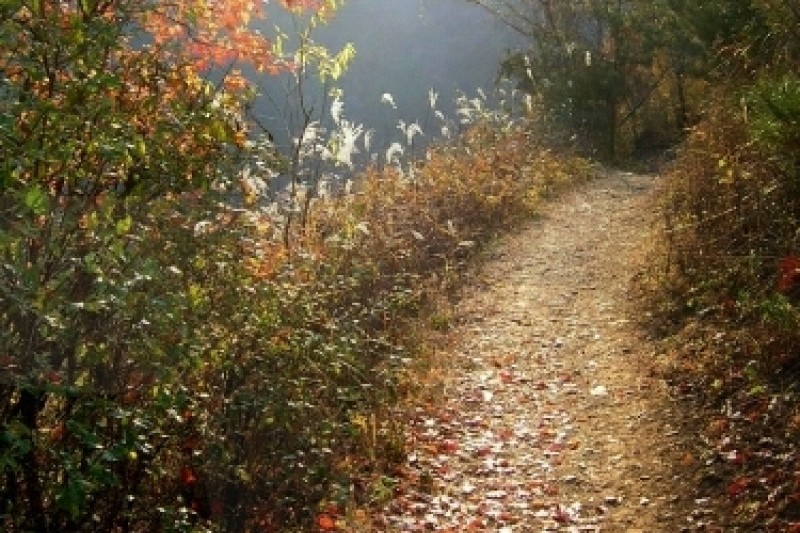 Mindungsan Mountain - Gangwon  (5/5)