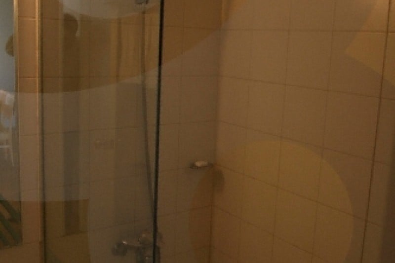 Phoenix Park Condominium  (20/22)