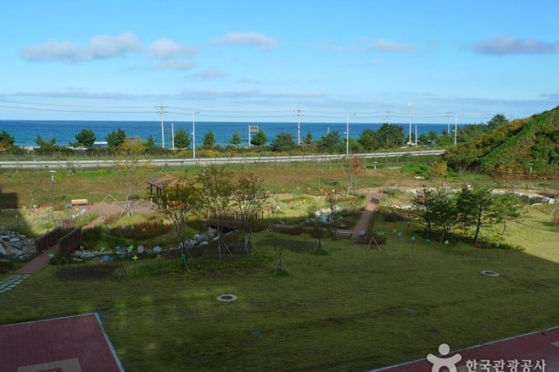 DMZ Museum  (20/37)
