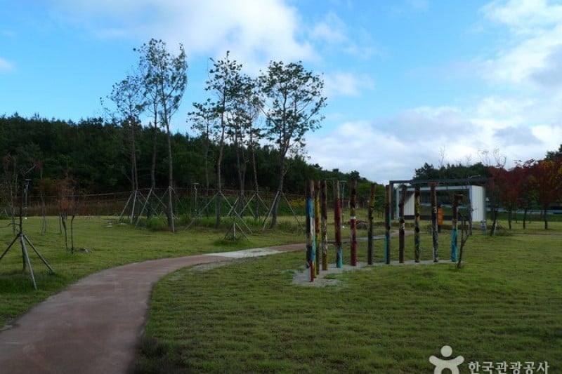 DMZ Museum  (23/37)