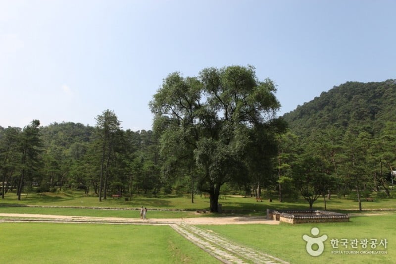 Jangneung Royal Tomb [UNESCO World Heritage]  (10/34)