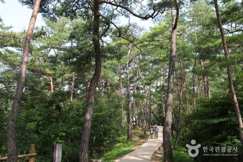 Jangneung Royal Tomb [UNESCO World Heritage]  (21/34)