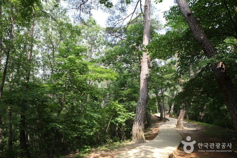 Jangneung Royal Tomb [UNESCO World Heritage]  (22/34)