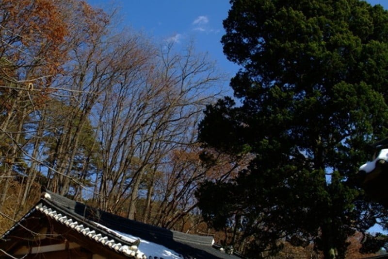 Jangneung Royal Tomb [UNESCO World Heritage]  (27/34)