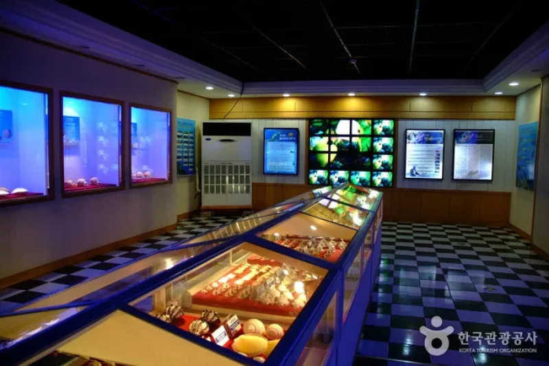 Hwajinpo Aquarium  (2/9)