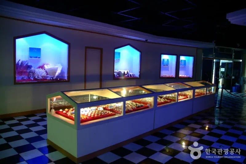 Hwajinpo Aquarium  (3/9)