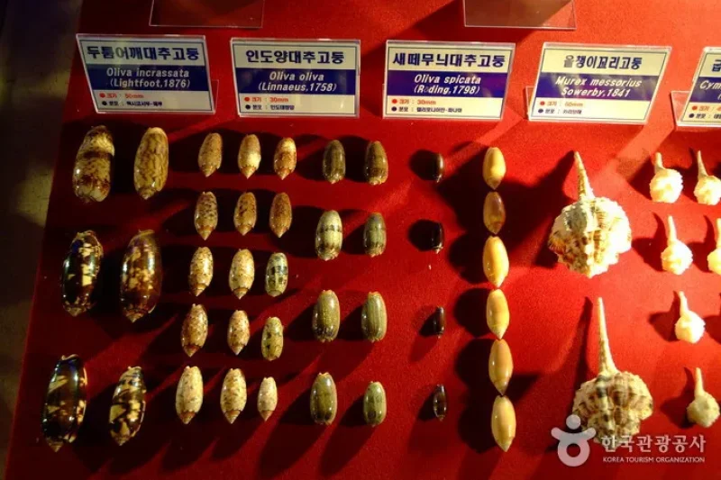 Hwajinpo Aquarium  (6/9)