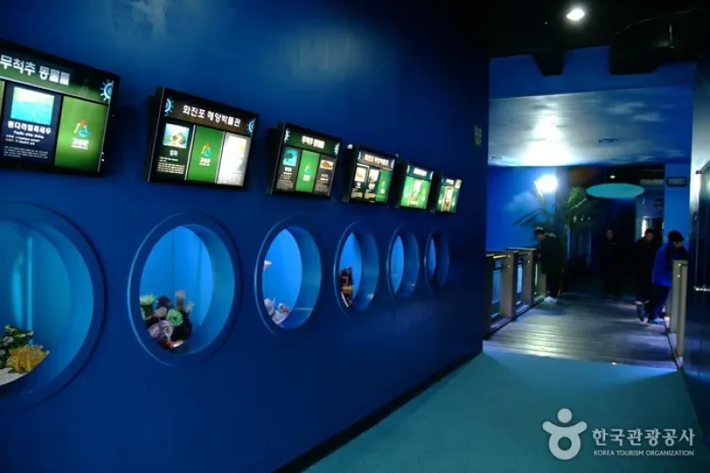 Hwajinpo Aquarium  (7/9)