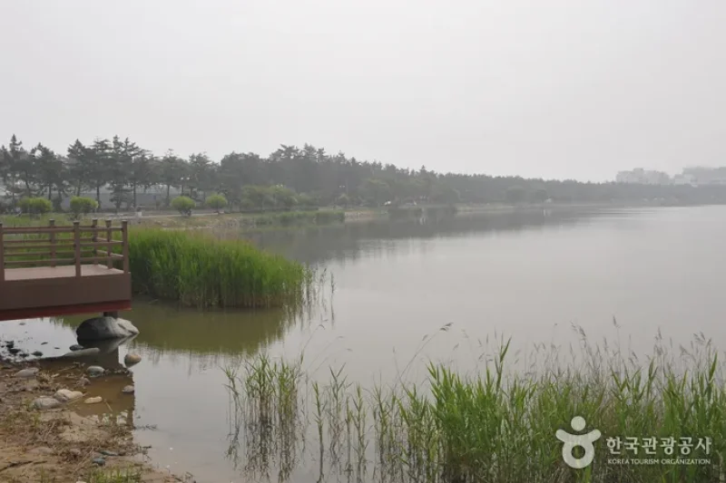 Gyeongpo Provincial Park  (6/6)