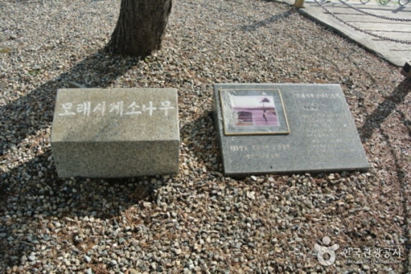 Jeongdongjin Station  (2/5)