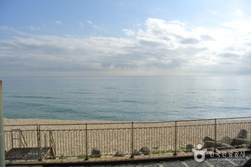 Jeongdongjin Station  (3/5)