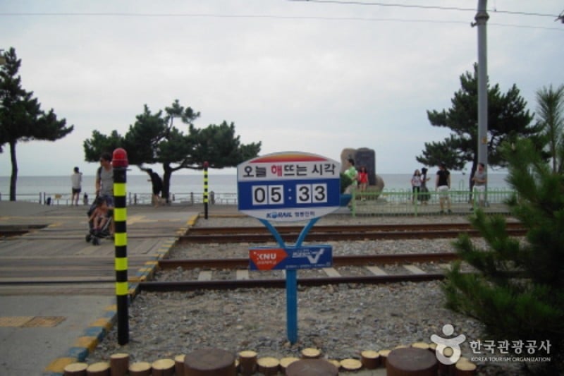 Jeongdongjin Station  (5/5)