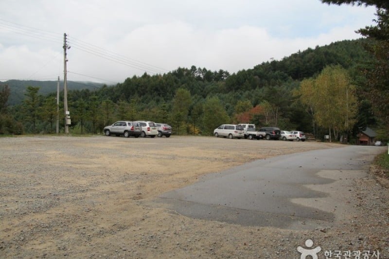 Cheongtaesan National Recreational Forest  (1/36)