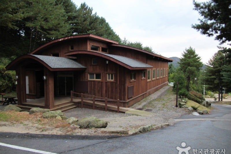 Cheongtaesan National Recreational Forest  (6/36)