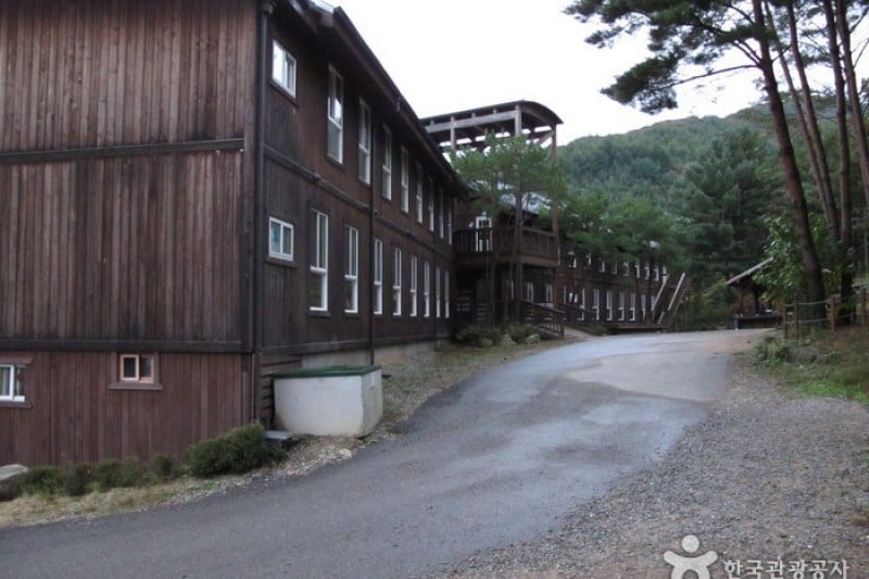 Cheongtaesan National Recreational Forest  (10/36)