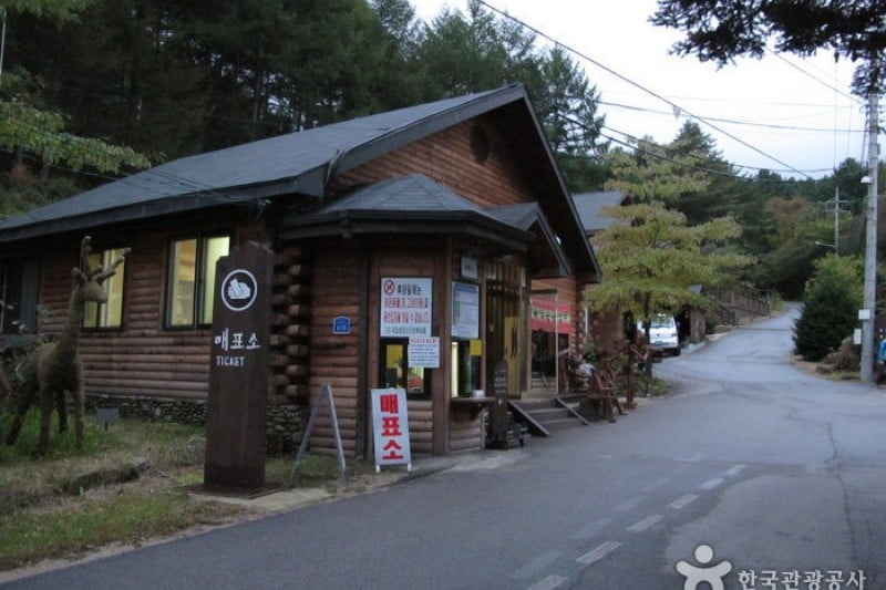 Cheongtaesan National Recreational Forest  (11/36)