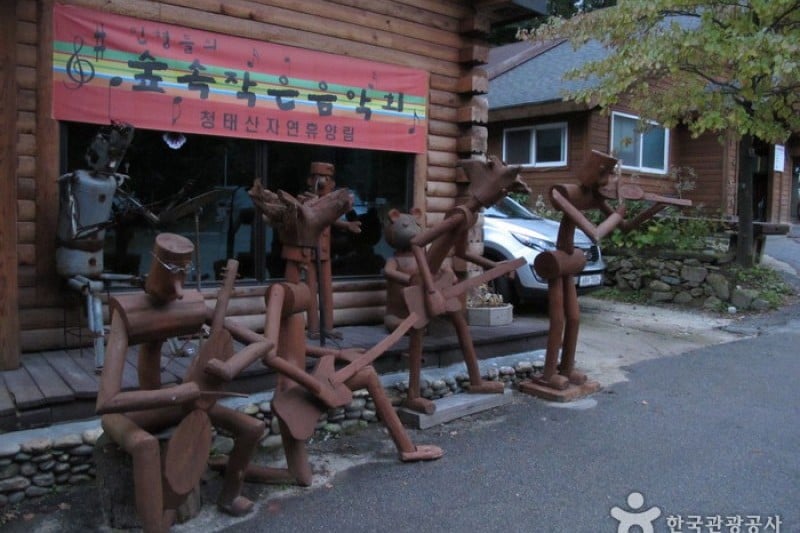 Cheongtaesan National Recreational Forest  (12/36)