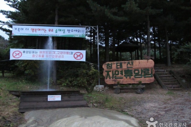 Cheongtaesan National Recreational Forest  (13/36)