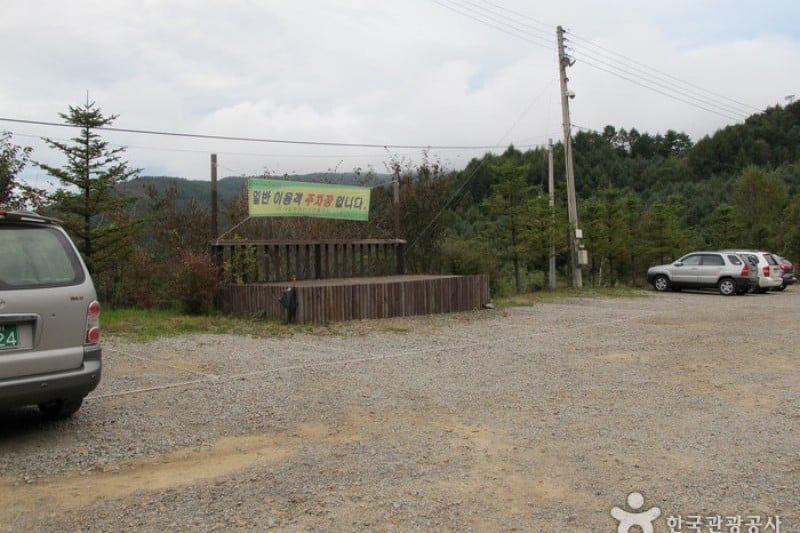 Cheongtaesan National Recreational Forest  (14/36)