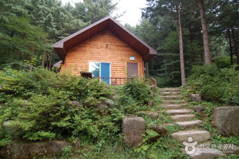 Cheongtaesan National Recreational Forest  (15/36)