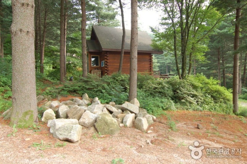 Cheongtaesan National Recreational Forest  (17/36)
