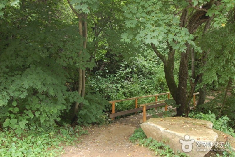 Cheongtaesan National Recreational Forest  (18/36)