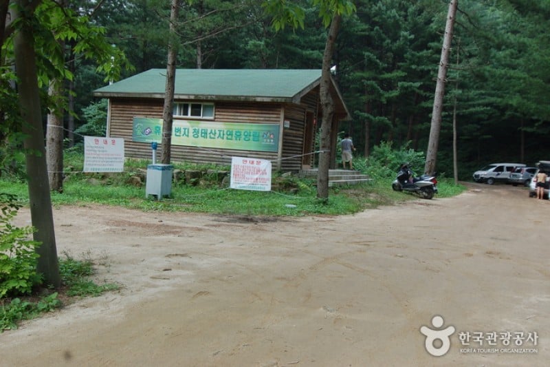 Cheongtaesan National Recreational Forest  (19/36)