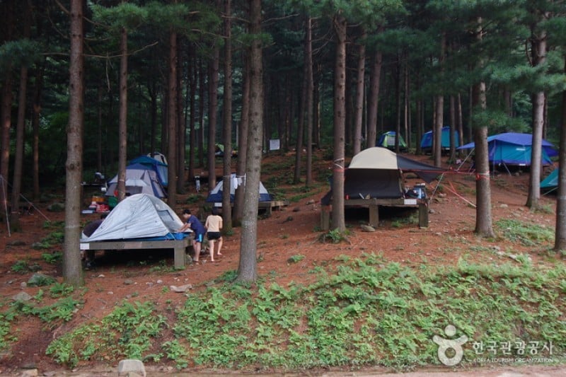 Cheongtaesan National Recreational Forest  (21/36)