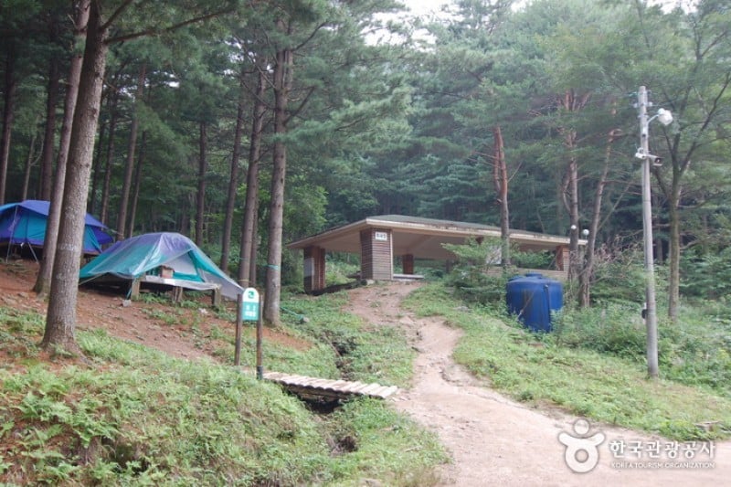Cheongtaesan National Recreational Forest  (22/36)