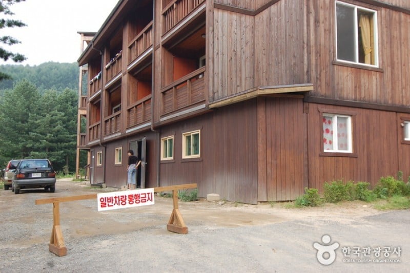 Cheongtaesan National Recreational Forest  (23/36)