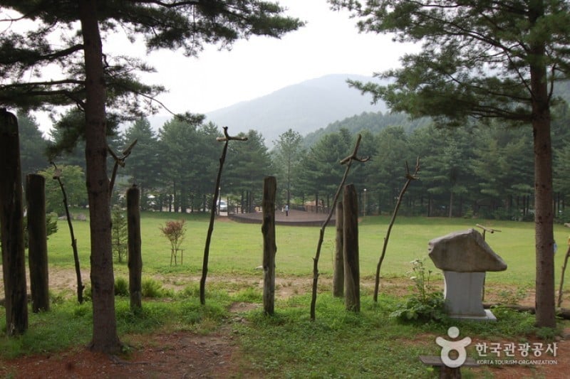Cheongtaesan National Recreational Forest  (24/36)