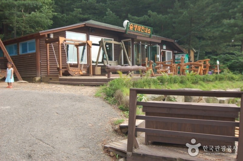 Cheongtaesan National Recreational Forest  (25/36)