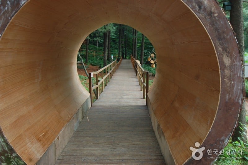 Cheongtaesan National Recreational Forest  (26/36)