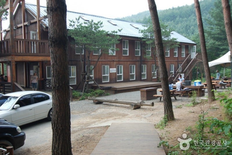 Cheongtaesan National Recreational Forest  (27/36)