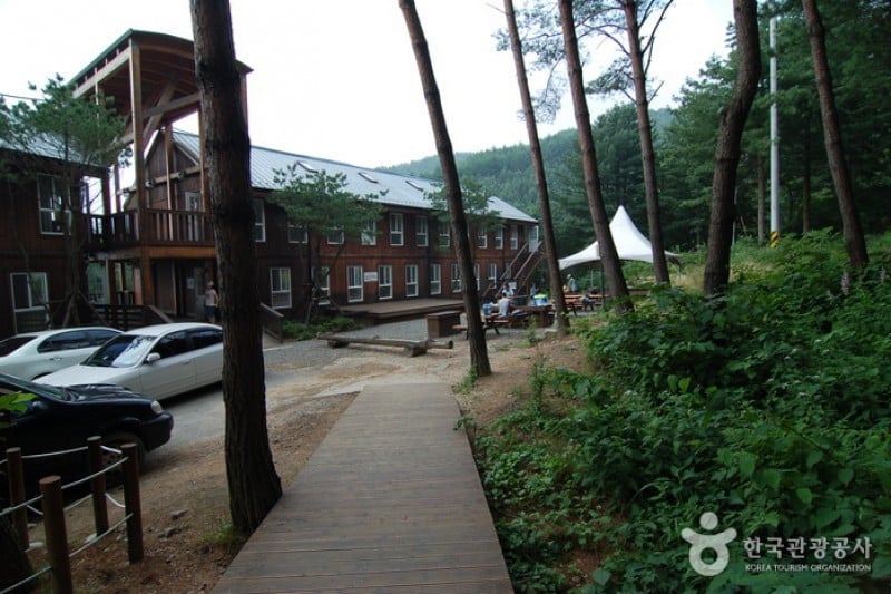 Cheongtaesan National Recreational Forest  (28/36)