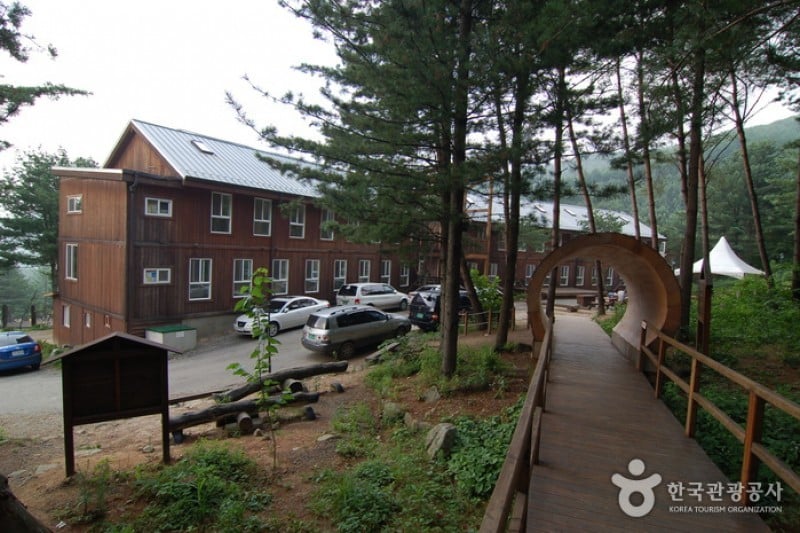 Cheongtaesan National Recreational Forest  (31/36)