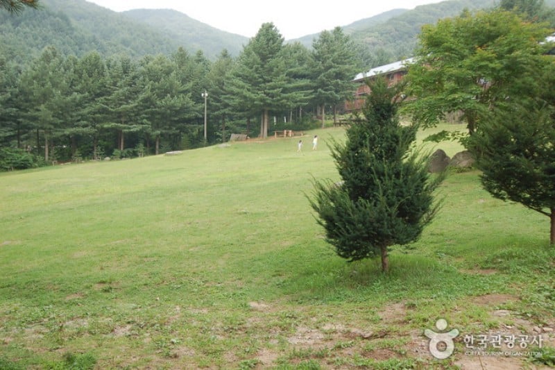 Cheongtaesan National Recreational Forest  (33/36)