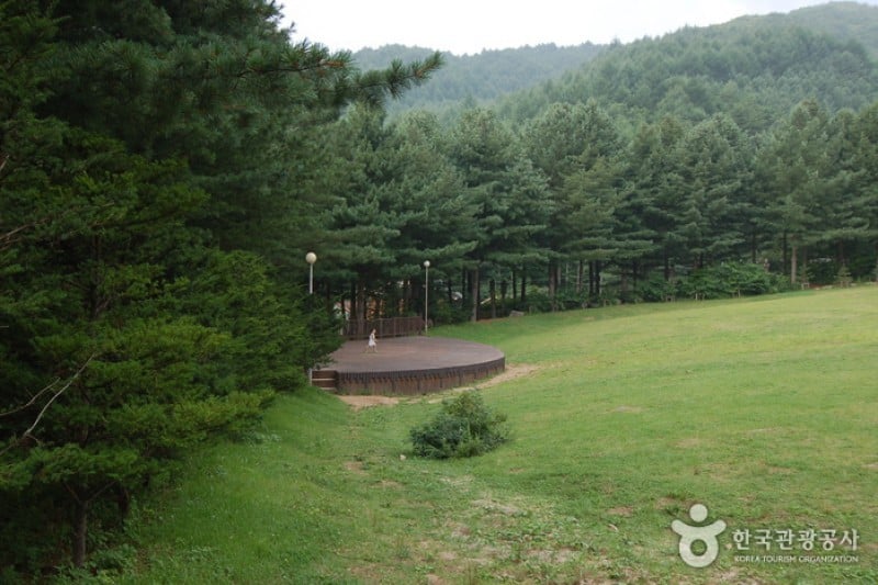 Cheongtaesan National Recreational Forest  (34/36)