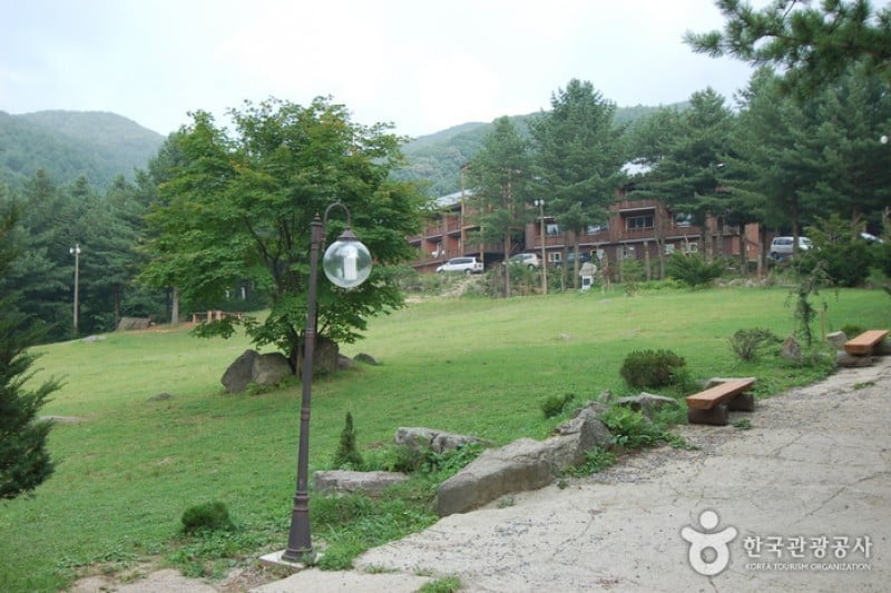 Cheongtaesan National Recreational Forest  (35/36)