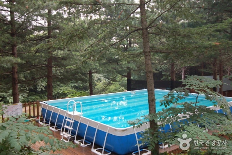 Cheongtaesan National Recreational Forest  (36/36)