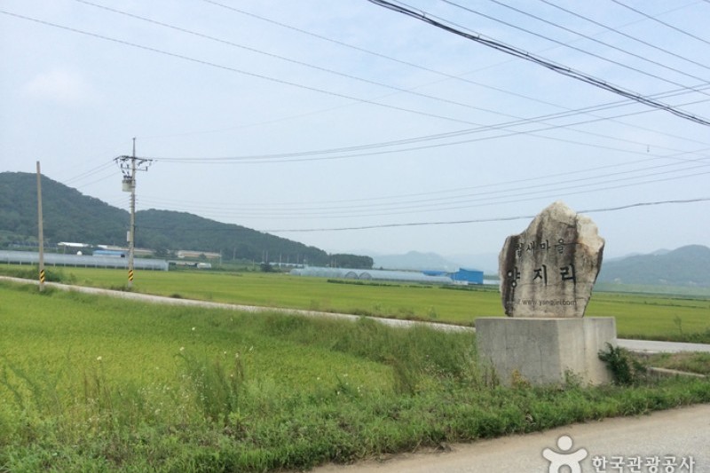 Cheorwon Plain  (1/3)