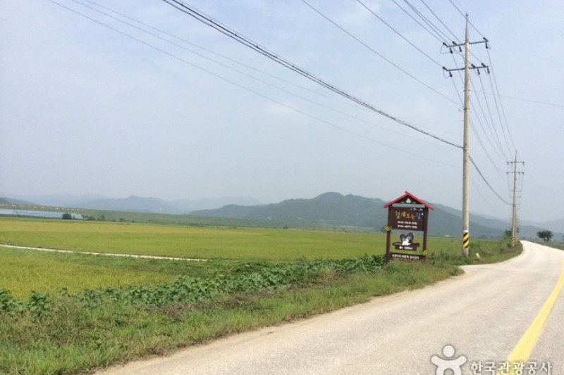 Cheorwon Plain  (2/3)