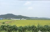 Cheorwon Plain 