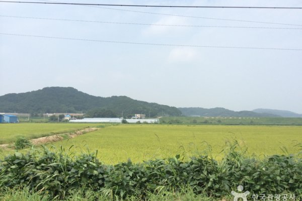 Cheorwon Plain