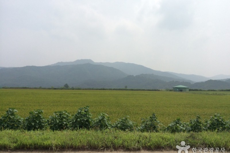 Cheorwon Plain  (3/3)
