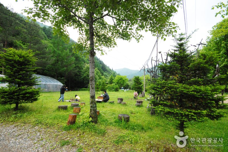 Sambong Recreational Forest  (2/11)
