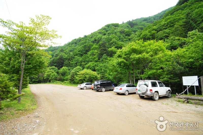 Sambong Recreational Forest  (3/11)