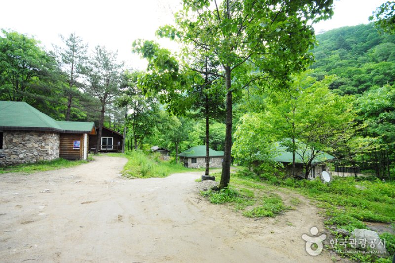 Sambong Recreational Forest  (5/11)